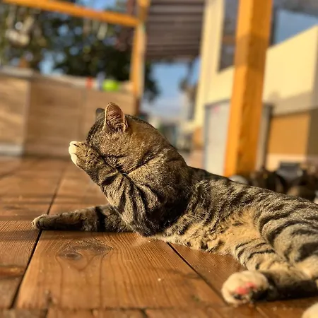 Karavana Tropicana Βάρνα