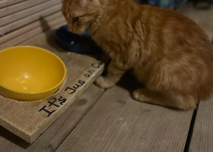 Karavana Tropicana * וארנה