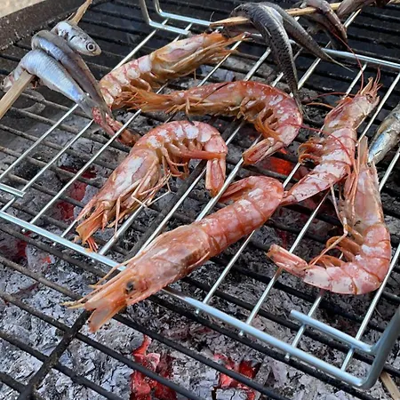 Karavana Tropicana Parque de Campismo Varna