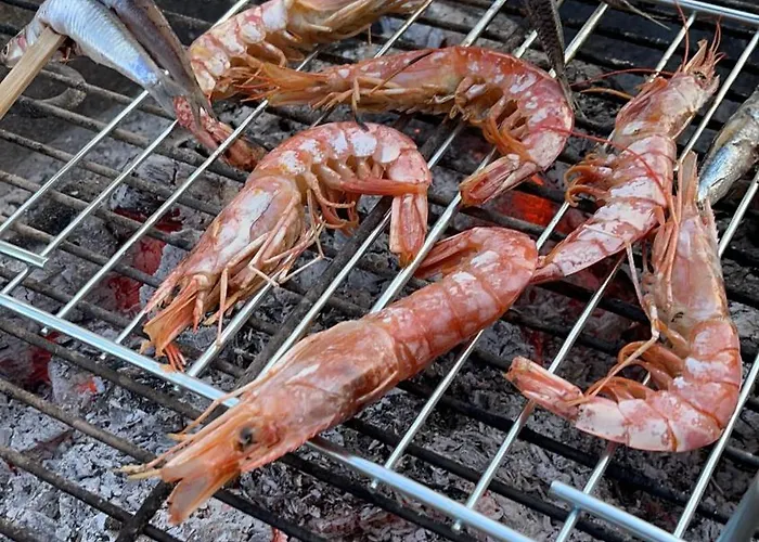 Karavana Tropicana Кемпинг Варна