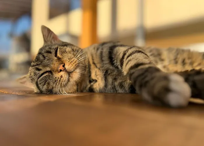 Кемпинг Karavana Tropicana