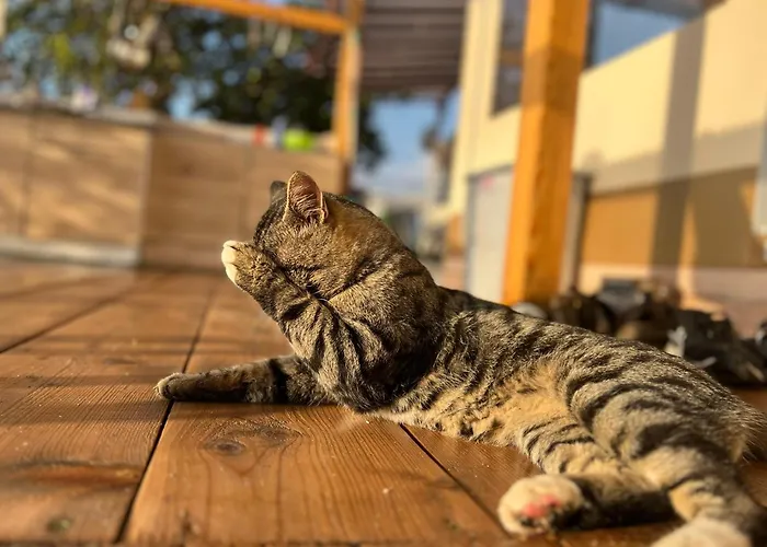 Karavana Tropicana Варна