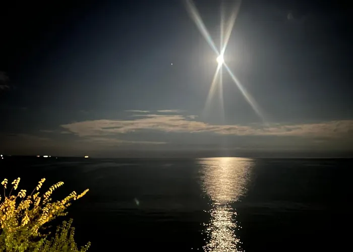 Karavana Tropicana Варна